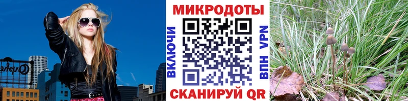 Псилоцибиновые грибы мицелий  Карабулак 